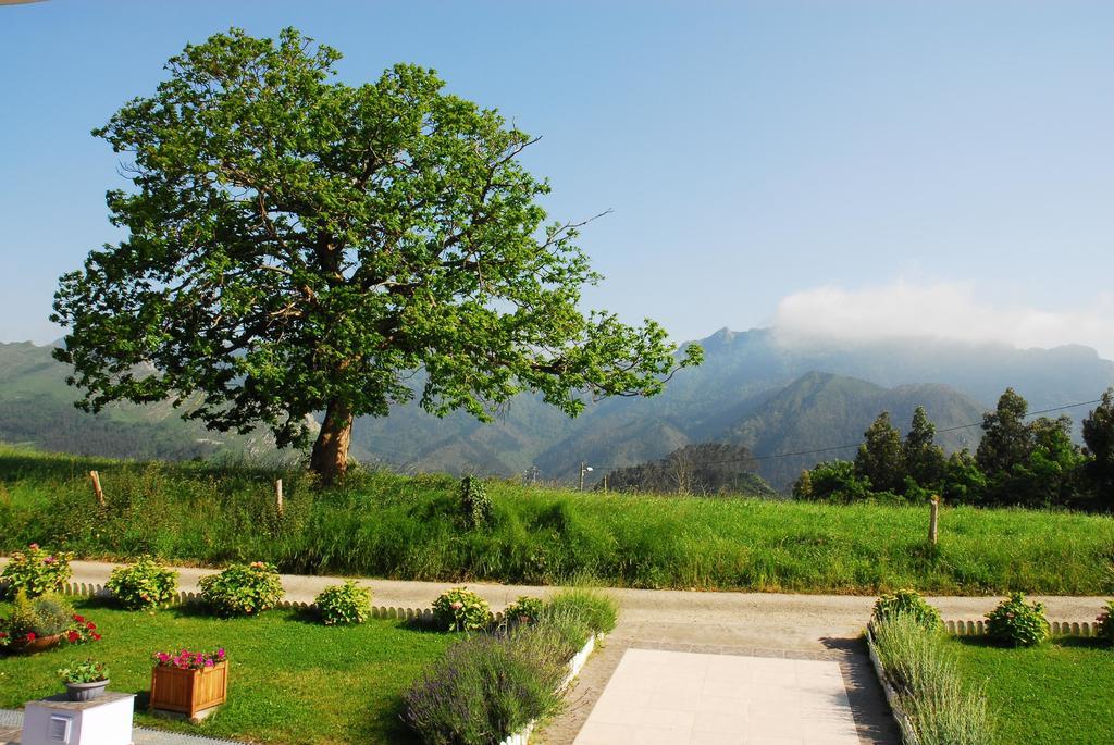 Hotel Mirador Del Sella Ribadesella Exterior photo